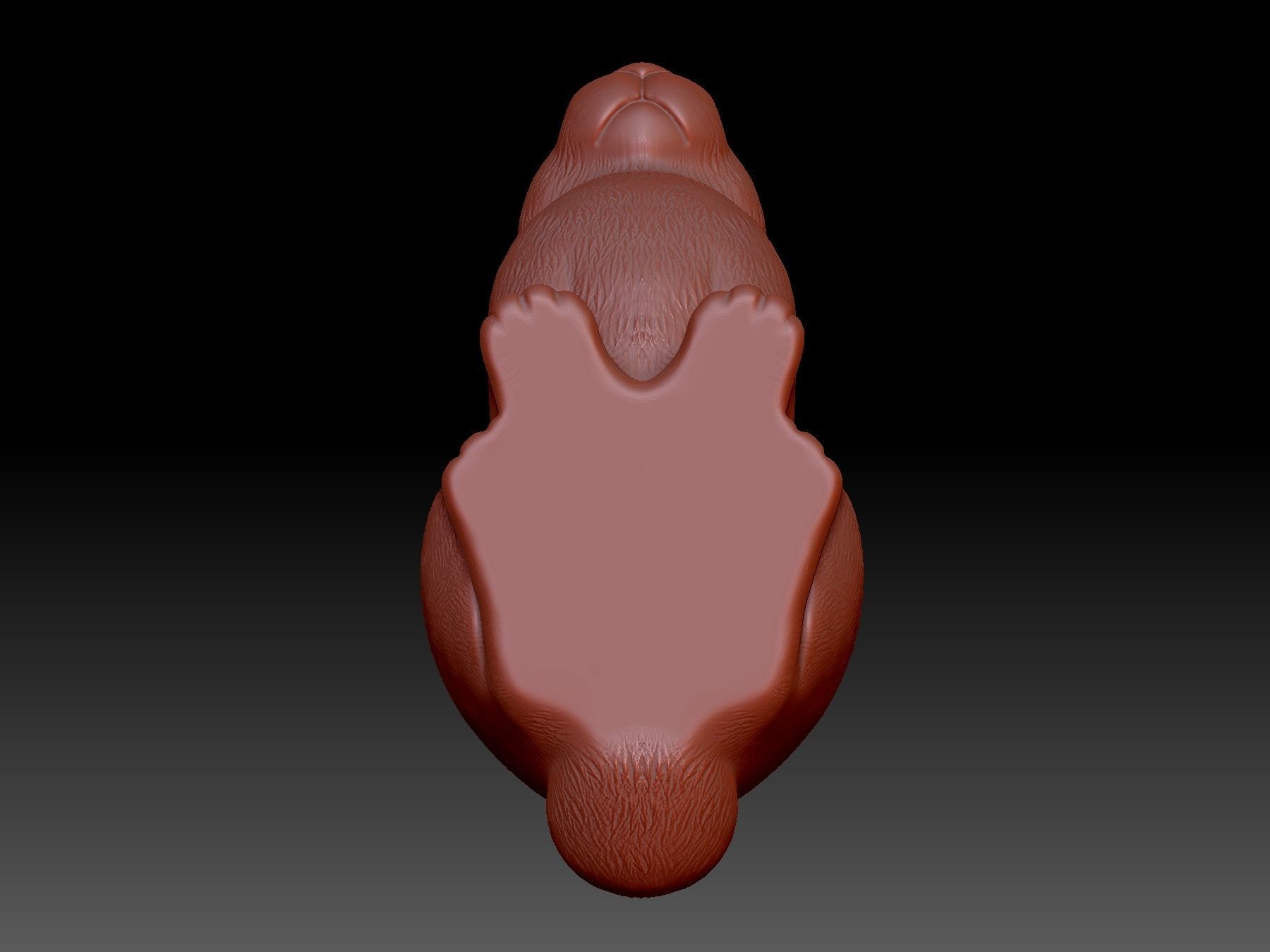 Rabbit 3D print model_3