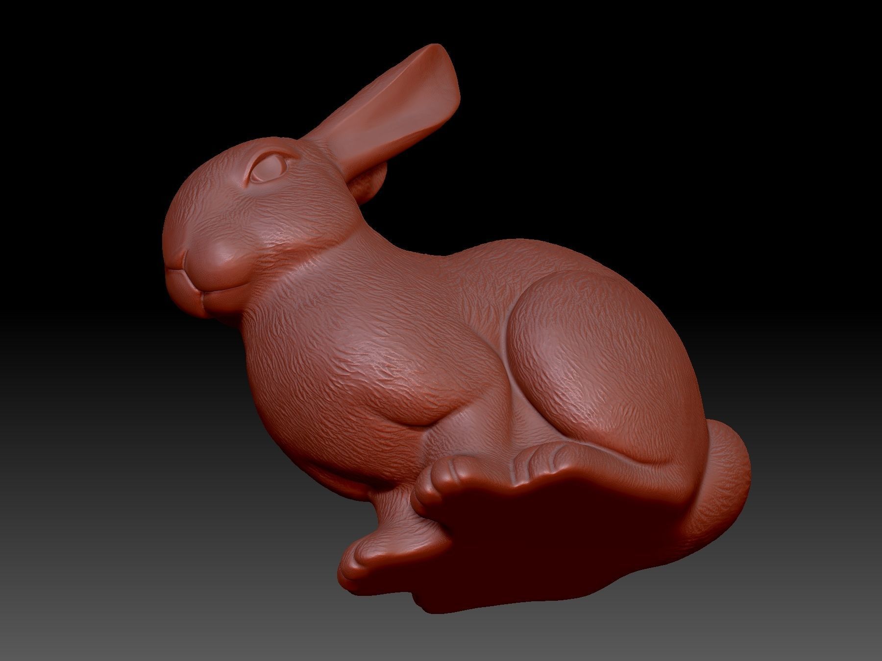 Rabbit 3D print model_5