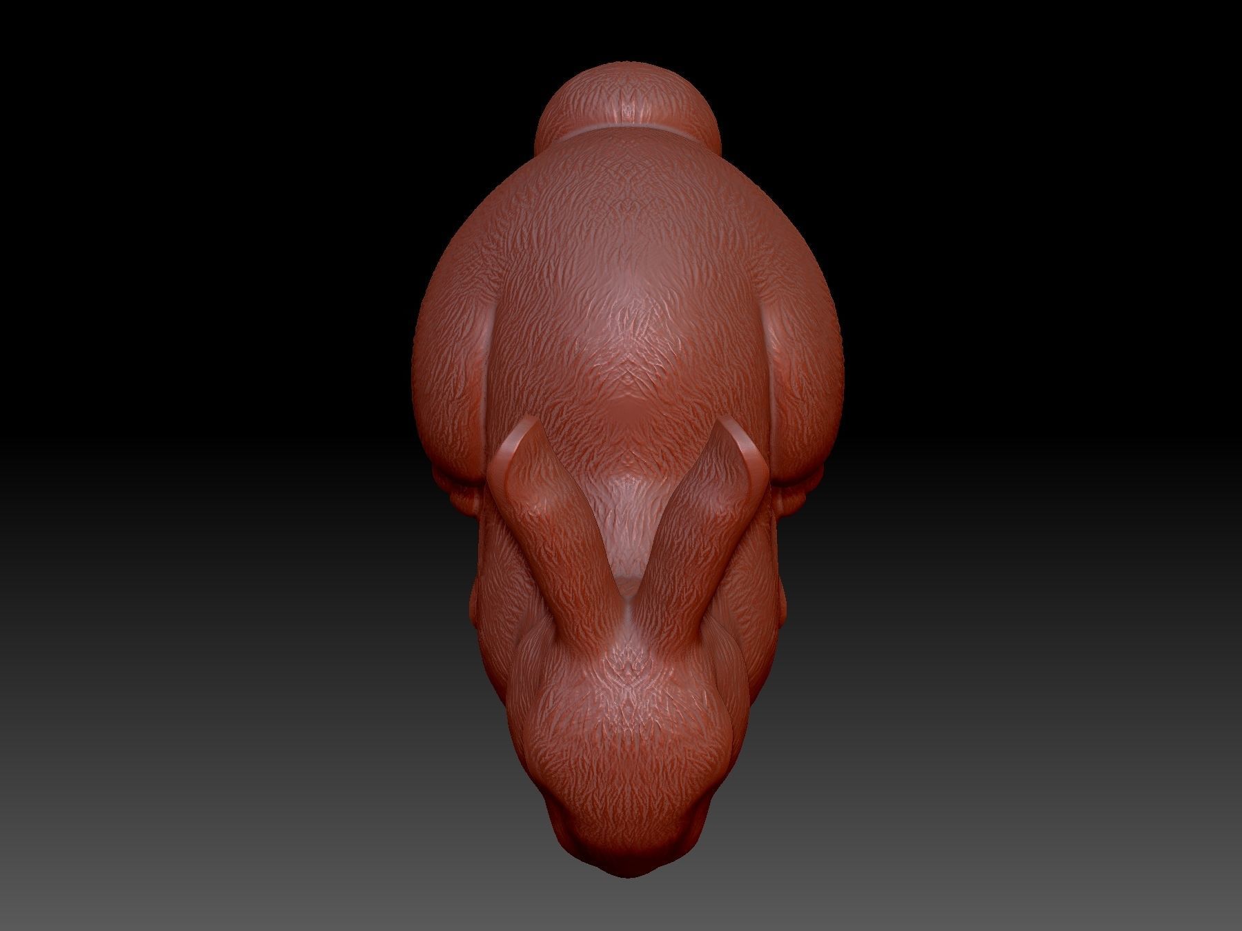 Rabbit 3D print model_4