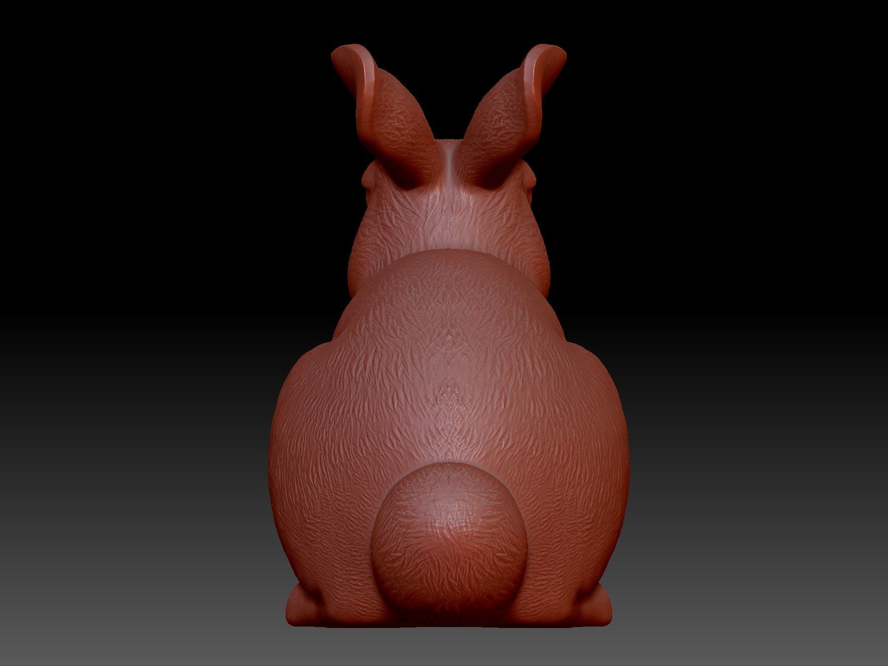 Rabbit 3D print model_2
