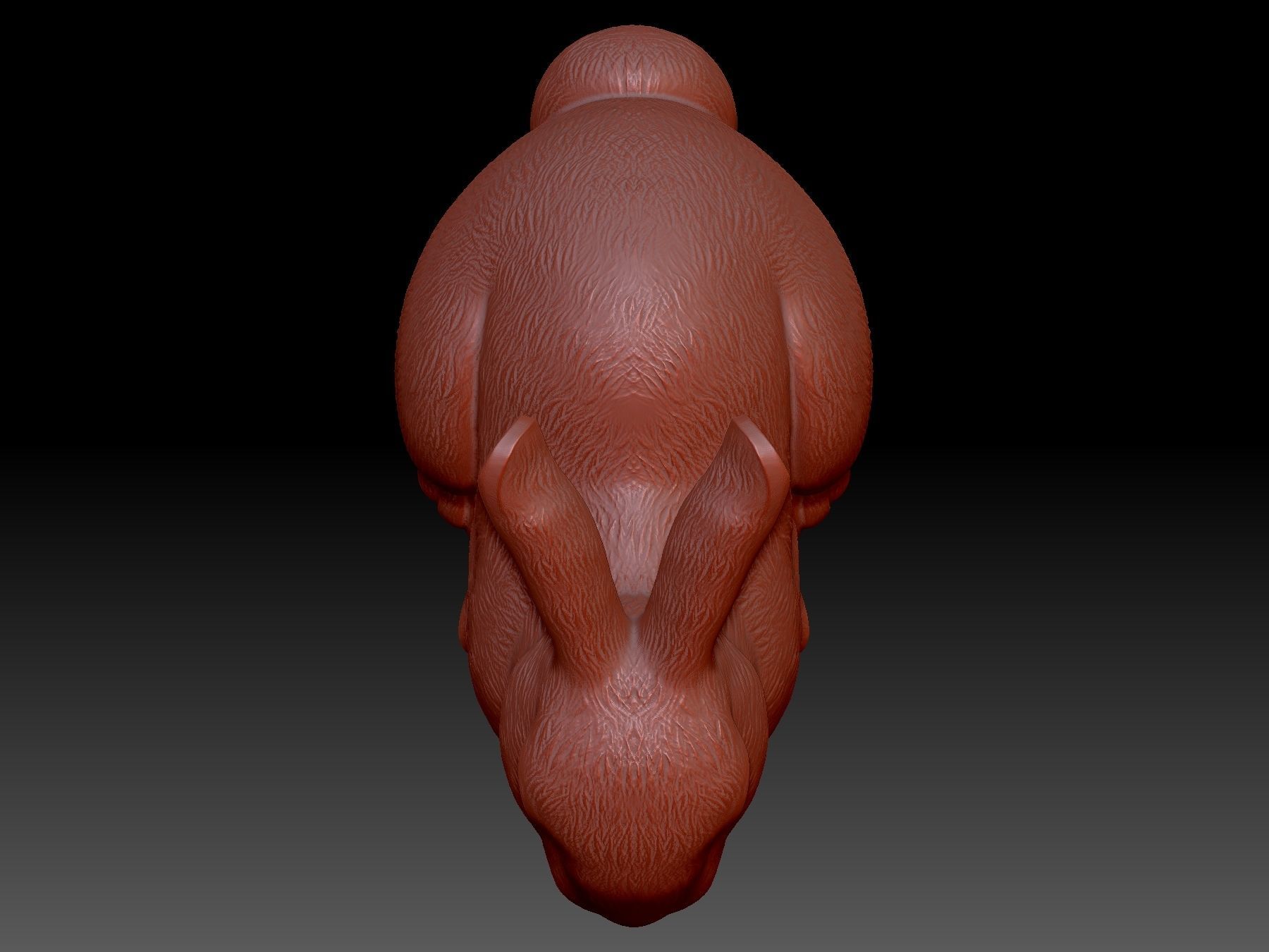 Rabbit 3D print model_6