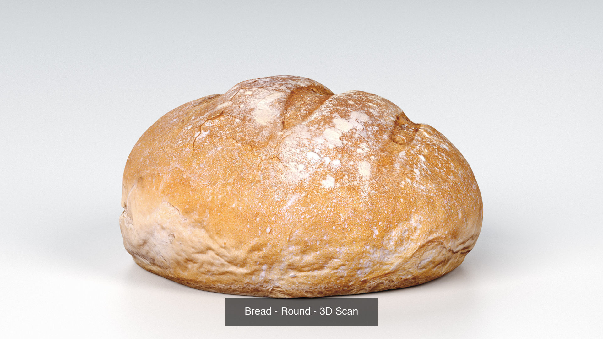 Food Items 3D Model Collection_5