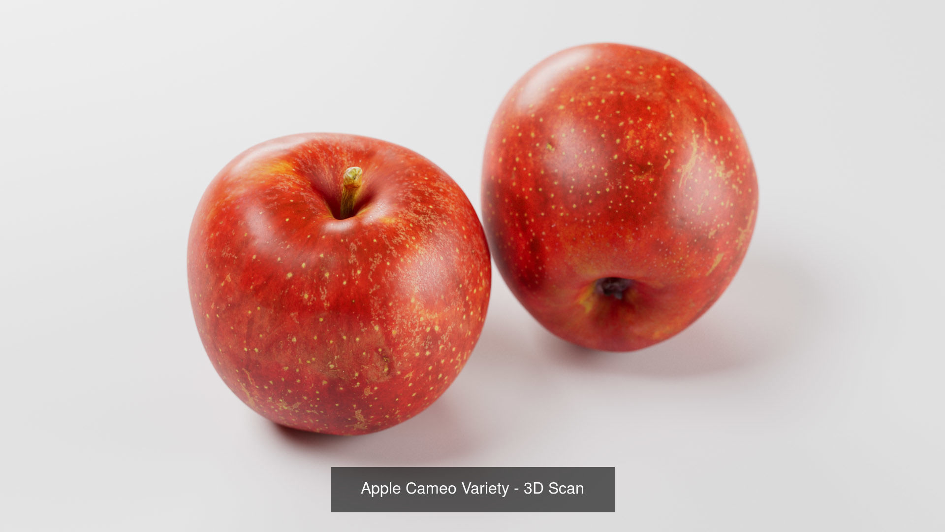 Food Items 3D Model Collection_7