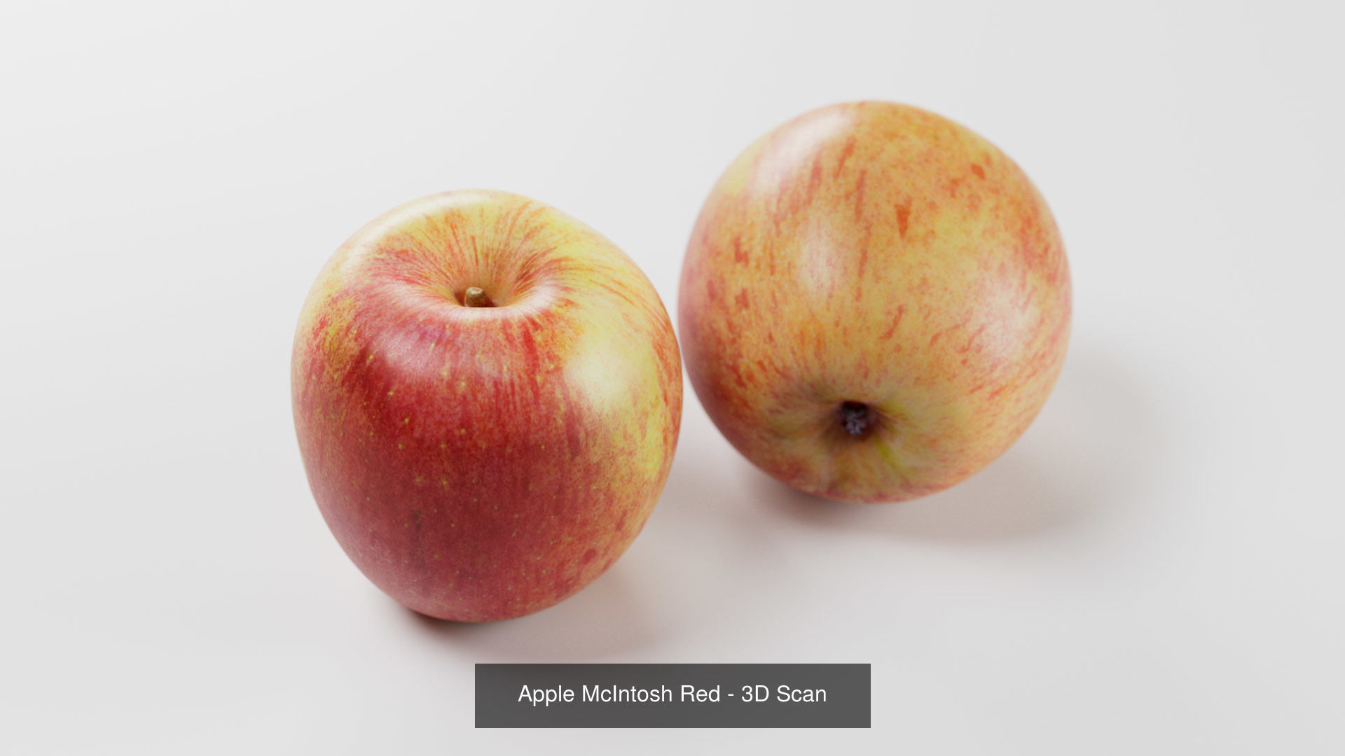 Food Items 3D Model Collection_6