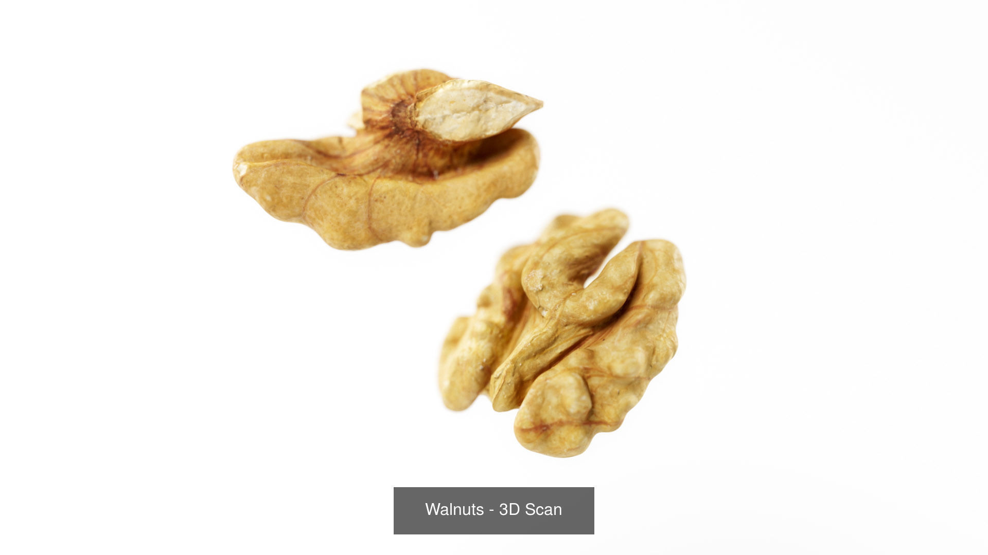 Food Items 3D Model Collection_8