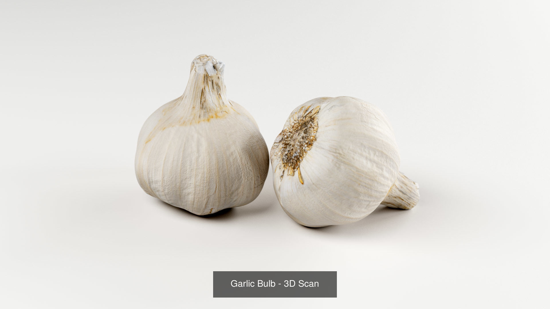 Food Items 3D Model Collection_9