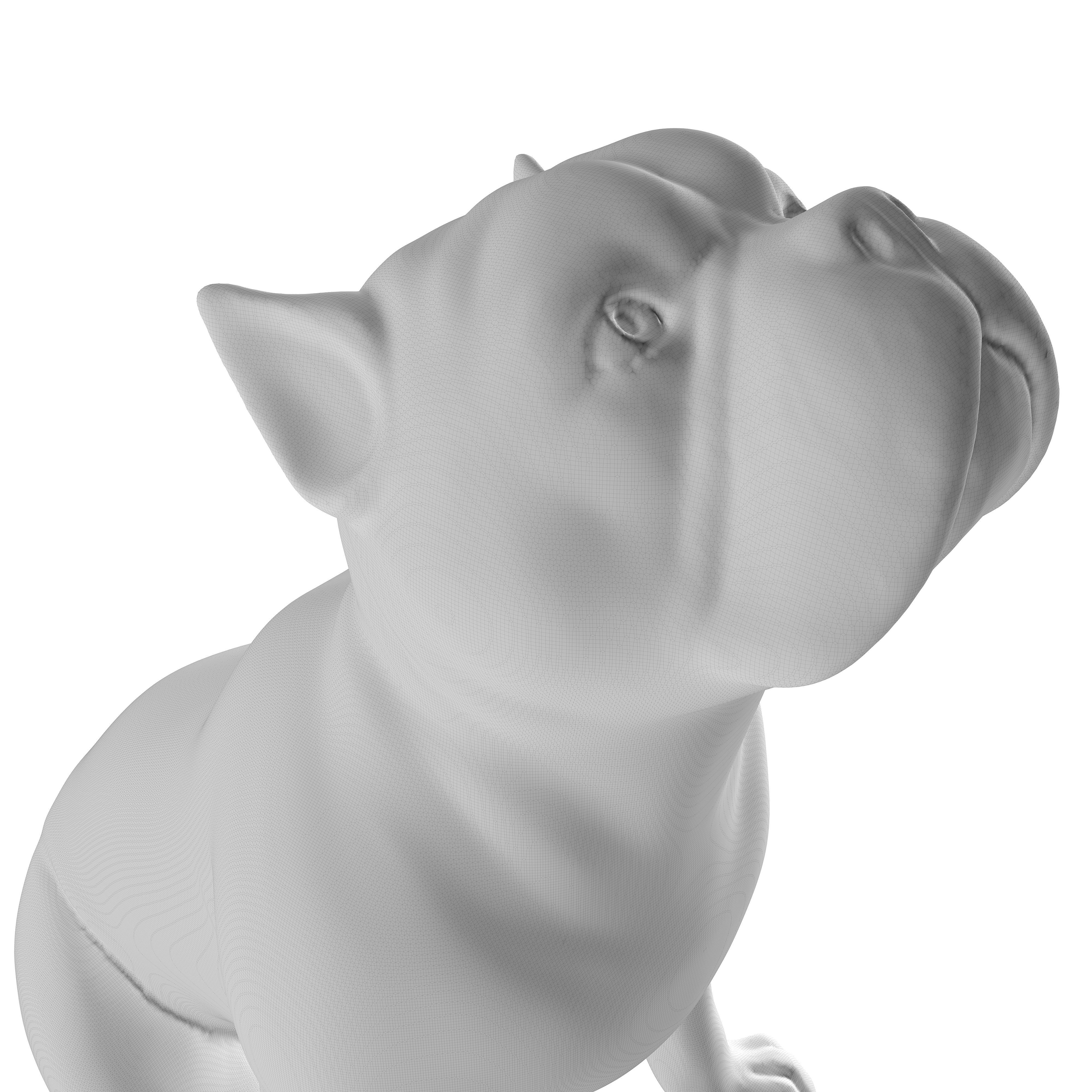 Cyan Glass Bulldog Sculpture 3D print model_7