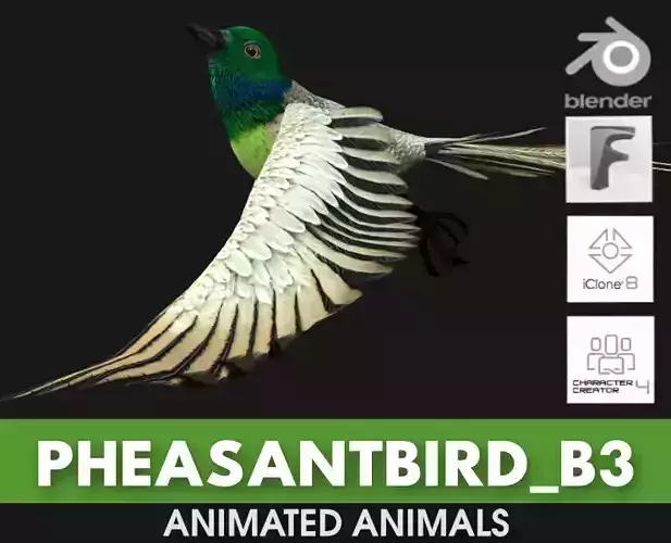 PheasantBird B3