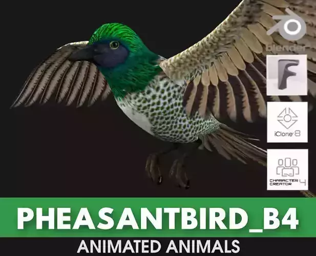 PheasantBird B4
