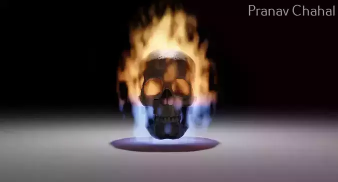 Skull on fire art 