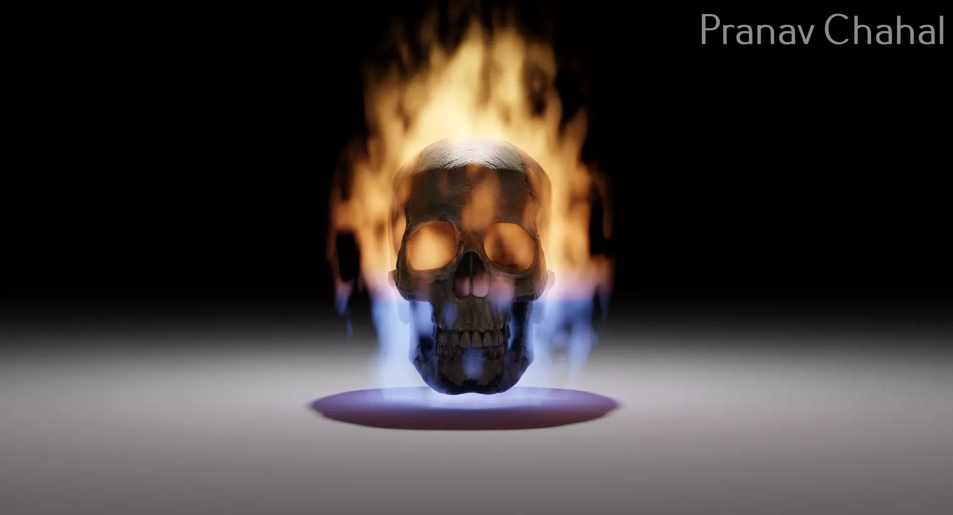 Skull on fire art  3D model_0