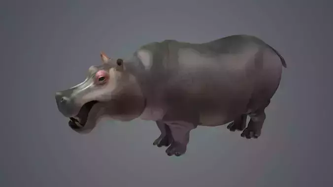 Realistic Hippos African Hippos herbivores African animal