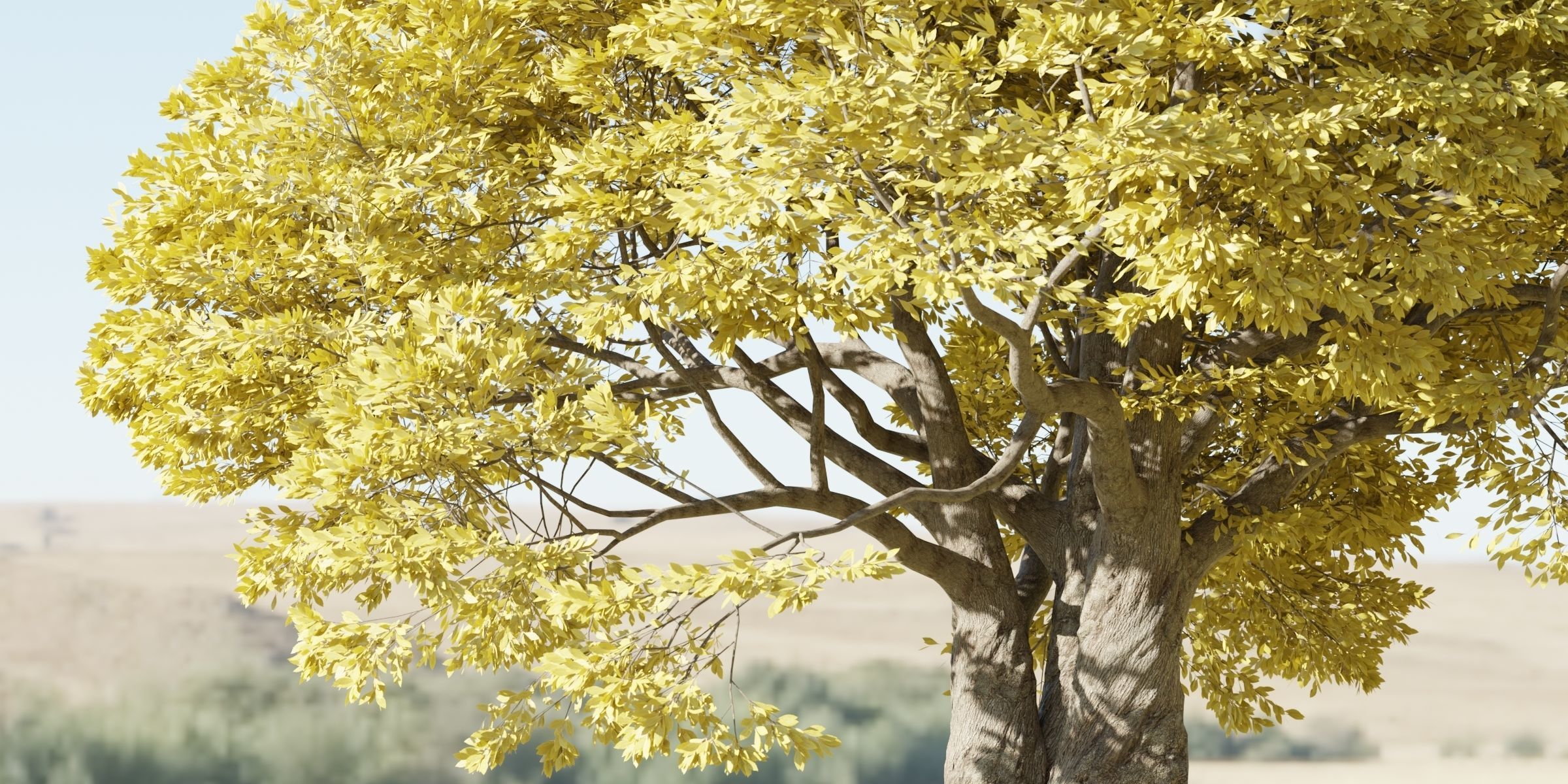 Landscape Tree vol 165-Blender 3D model_5