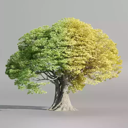 Landscape Tree vol 165-Blender 3D model