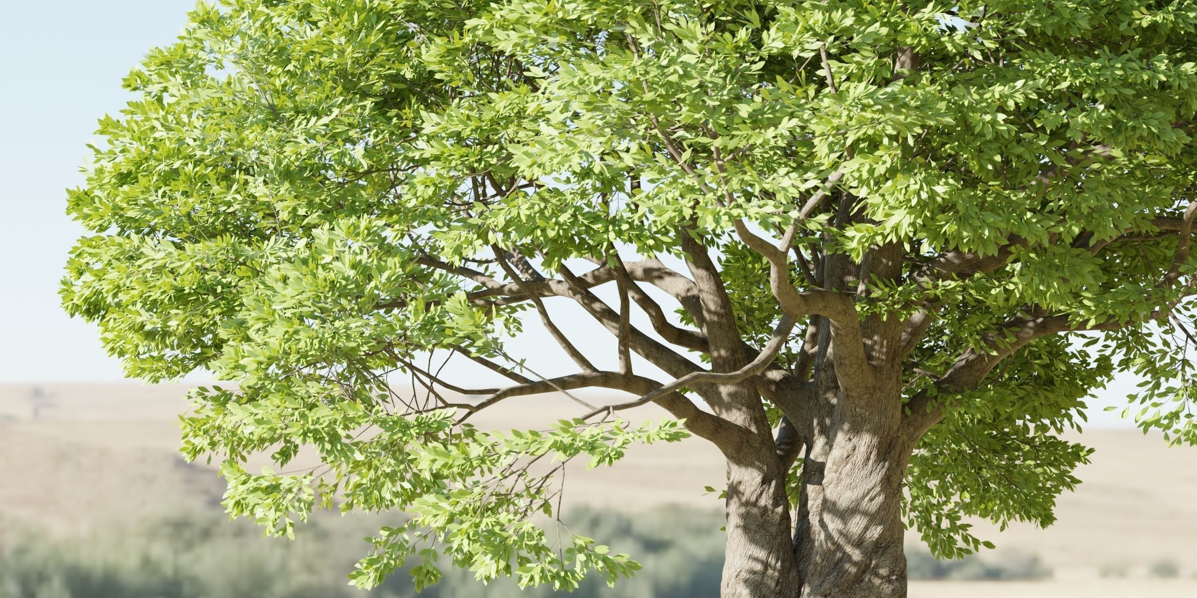 Landscape Tree vol 165-Blender 3D model_4