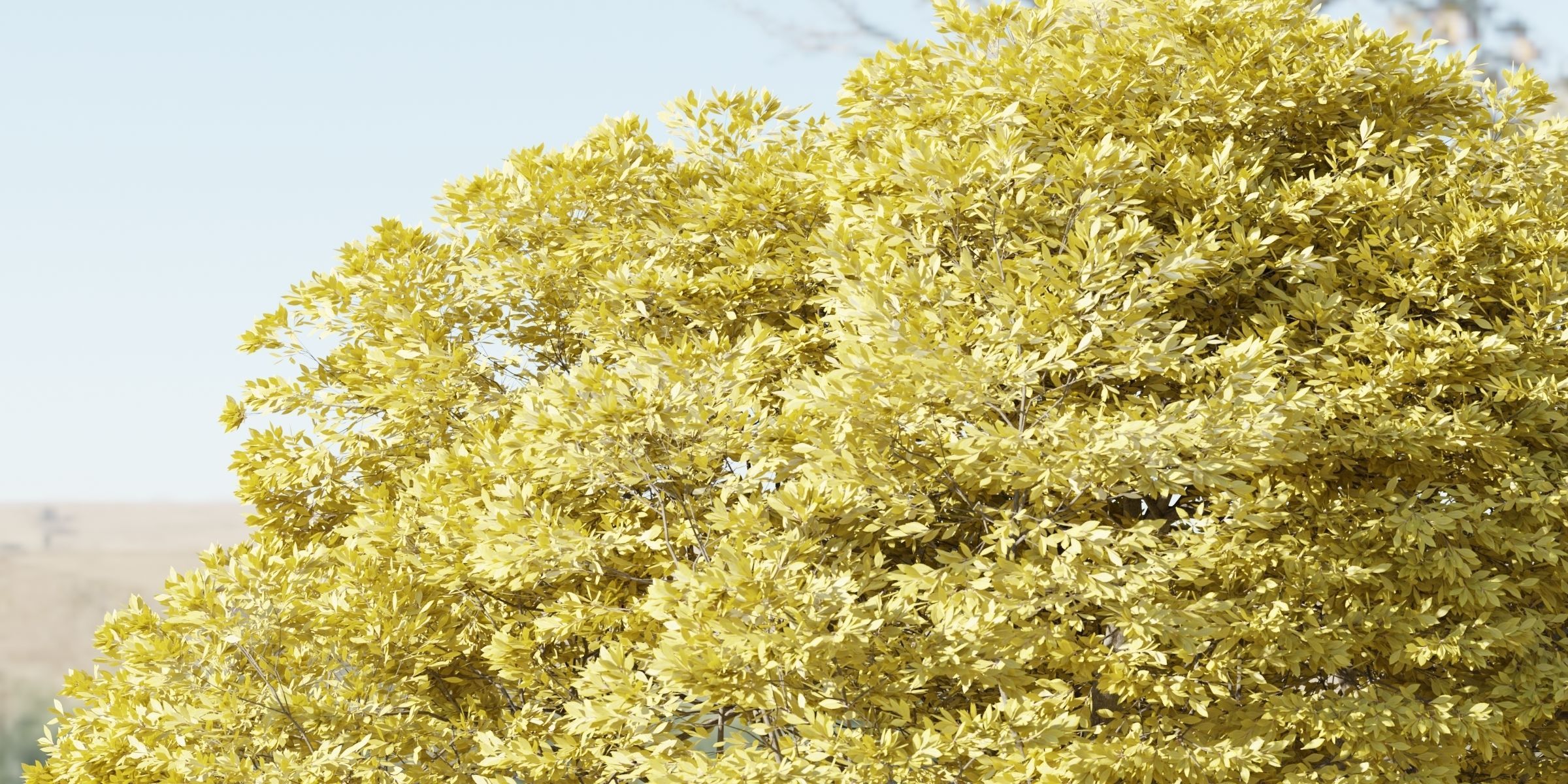 Landscape Tree vol 165-Blender 3D model_7