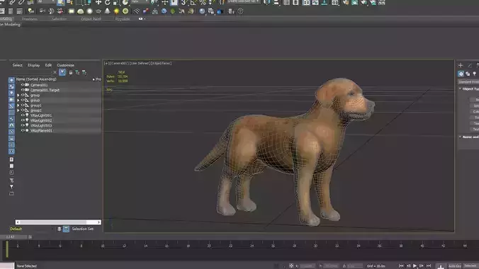 Golden Retriever tracking dog pet hunting dog house dog