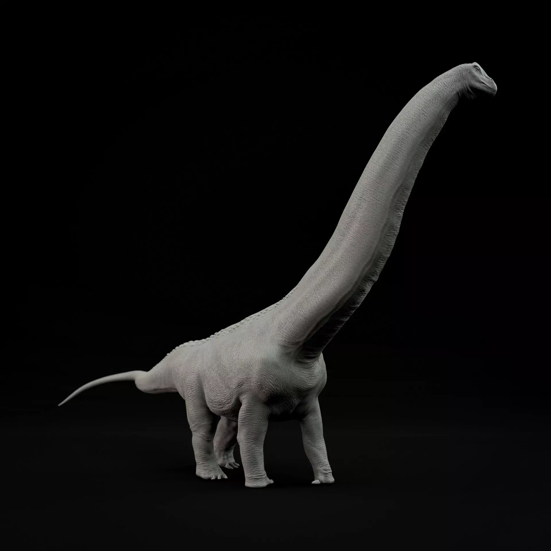 Argentinosaurus walking 1-100 scale pre-supported dinosaur 3D print model_0