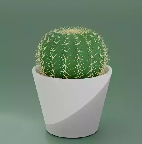 Cactus