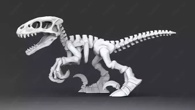Raptor Skeleton STL for 