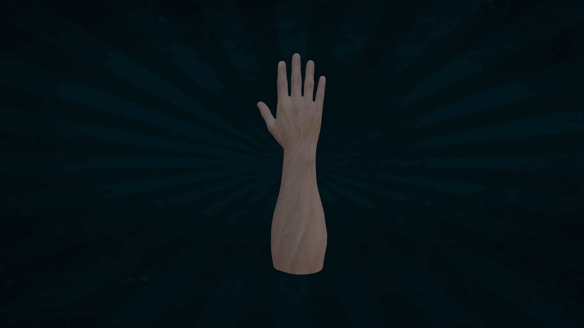 HAND-052 Rigged right hand Low-poly 3D model_6