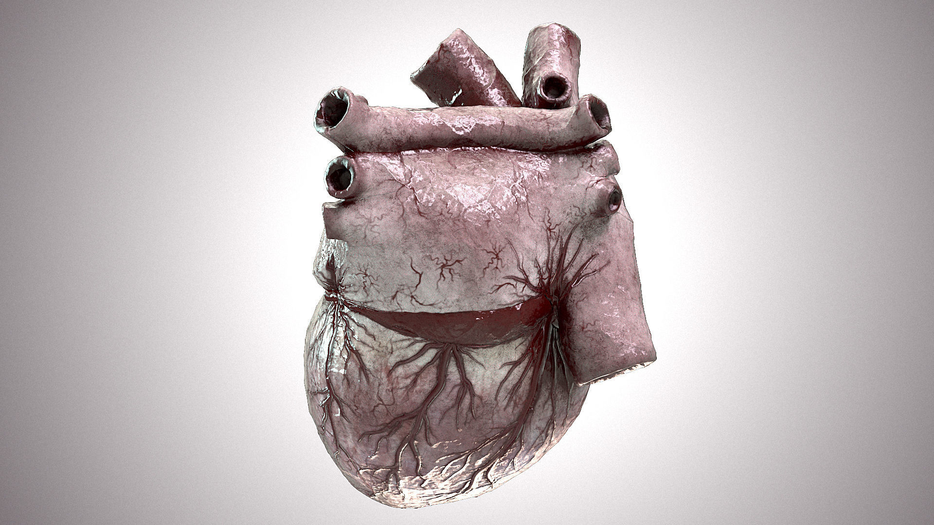 Heart Anatomic Animated PBR Low-poly 3D model_11