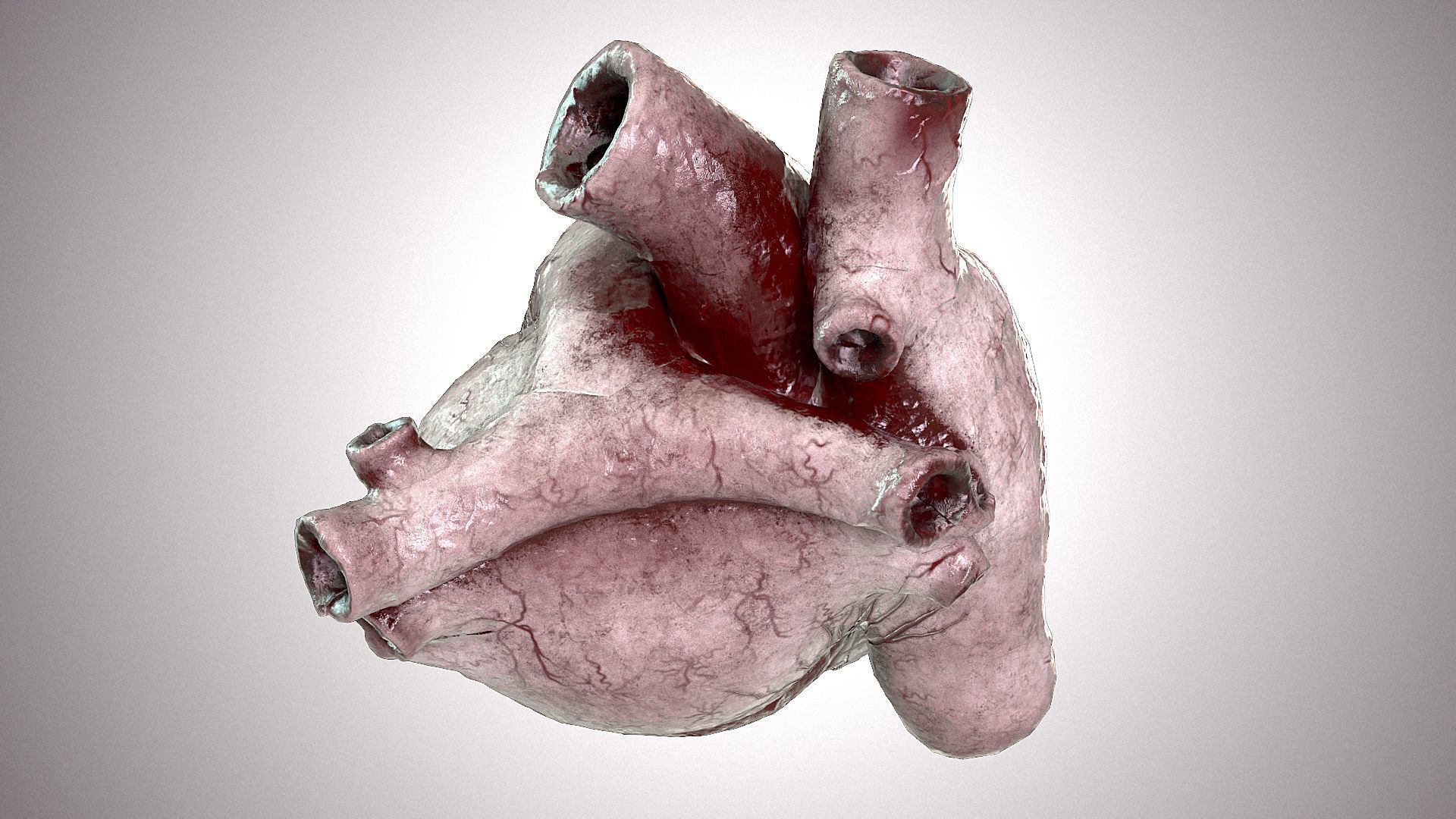 Heart Anatomic Animated PBR Low-poly 3D model_9
