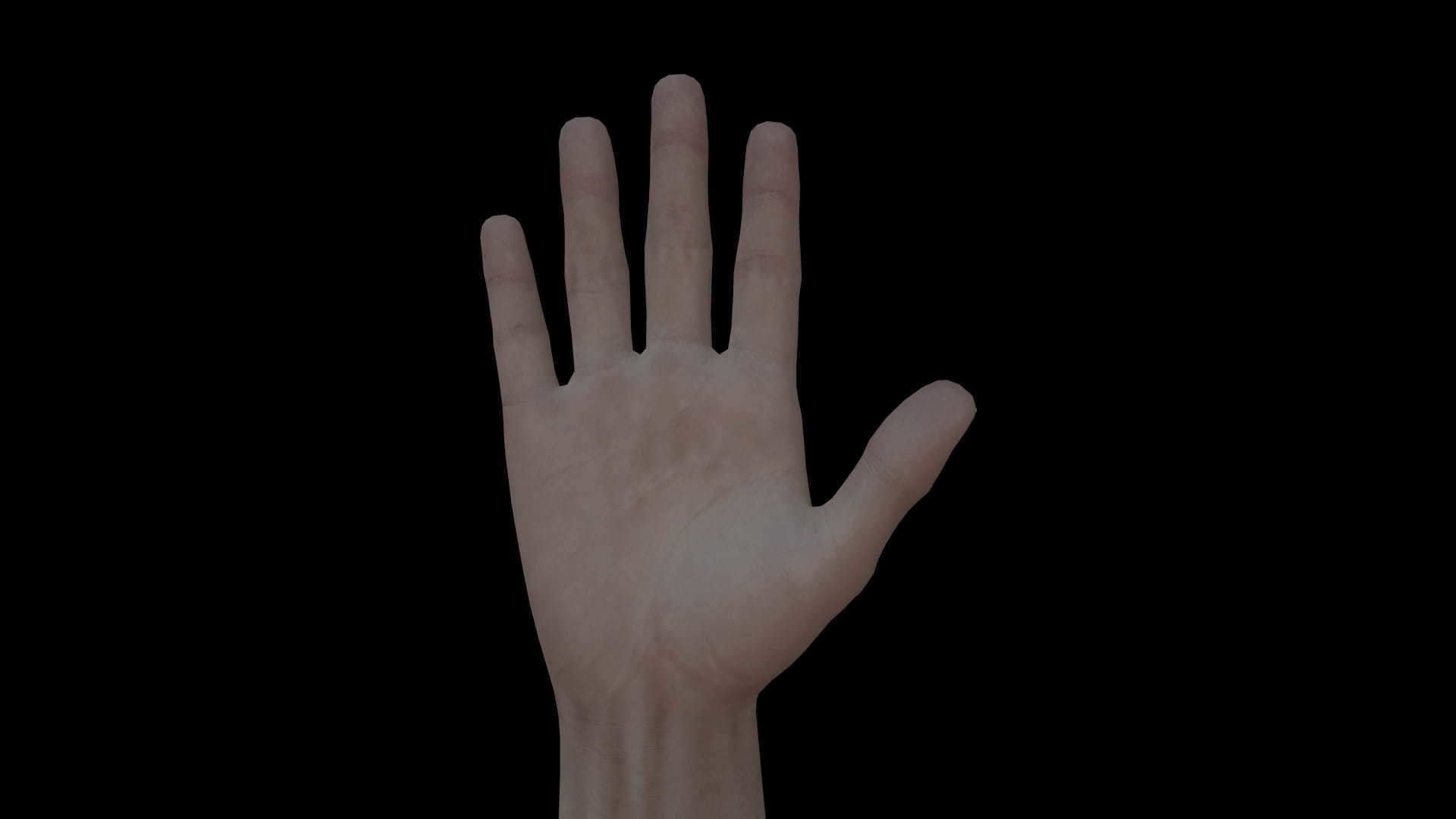 HAND14 Rigged right hand Low-poly 3D model_6
