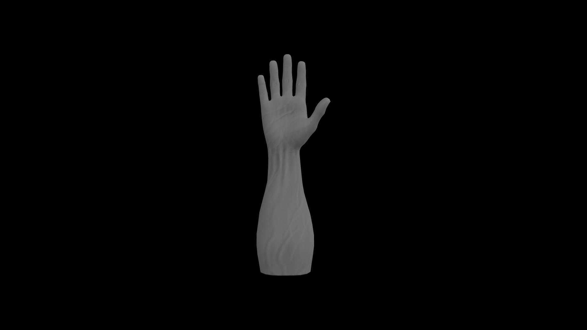 HAND14 Rigged right hand Low-poly 3D model_3