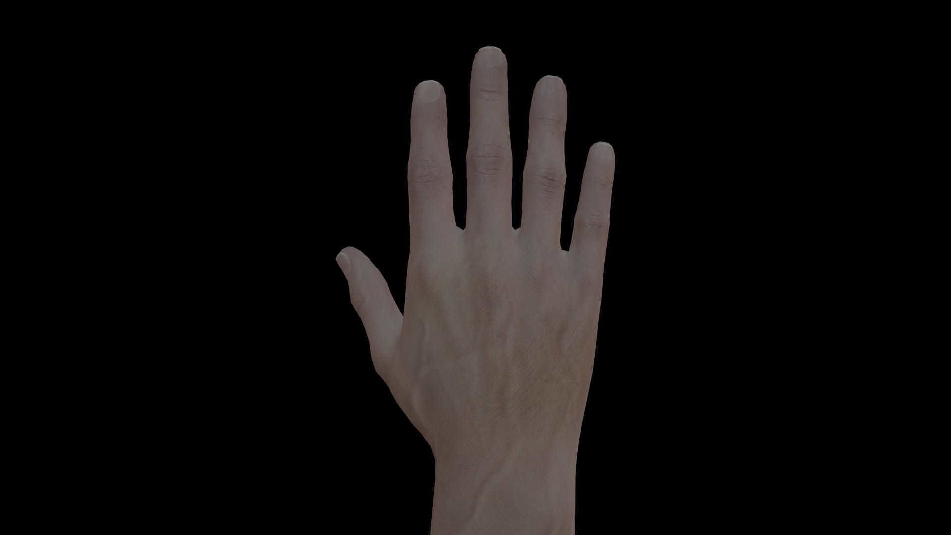 HAND14 Rigged right hand Low-poly 3D model_7