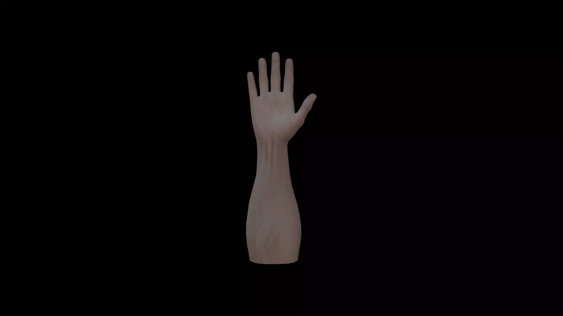 HAND14 Rigged right hand Low-poly 3D model_0