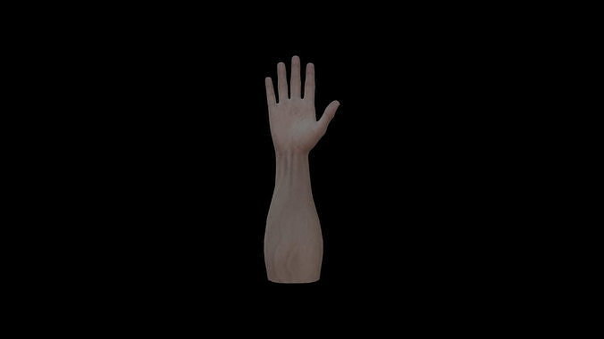 HAND14 Rigged right hand Low-poly 3D model