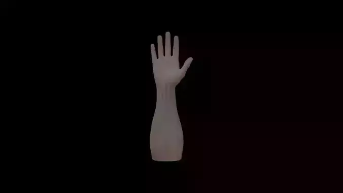 HAND14 Rigged right hand Low-poly 3D model