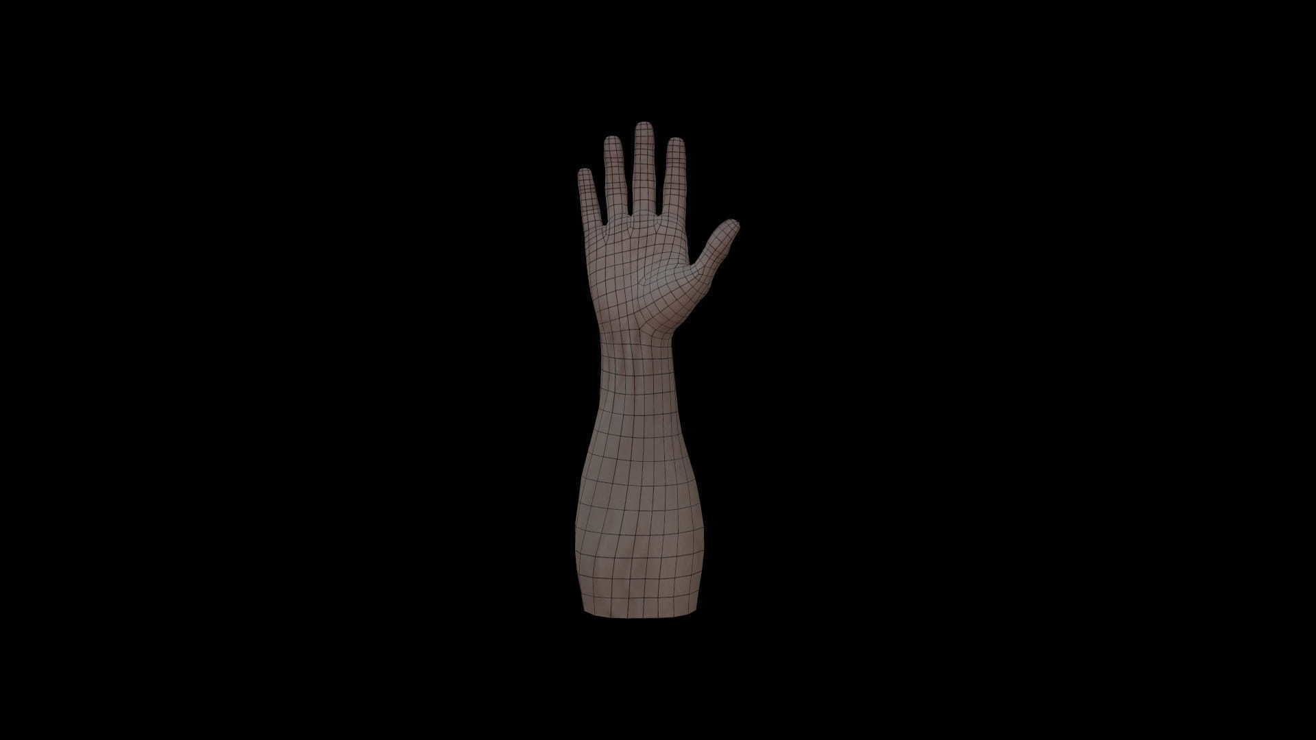 HAND14 Rigged right hand Low-poly 3D model_2