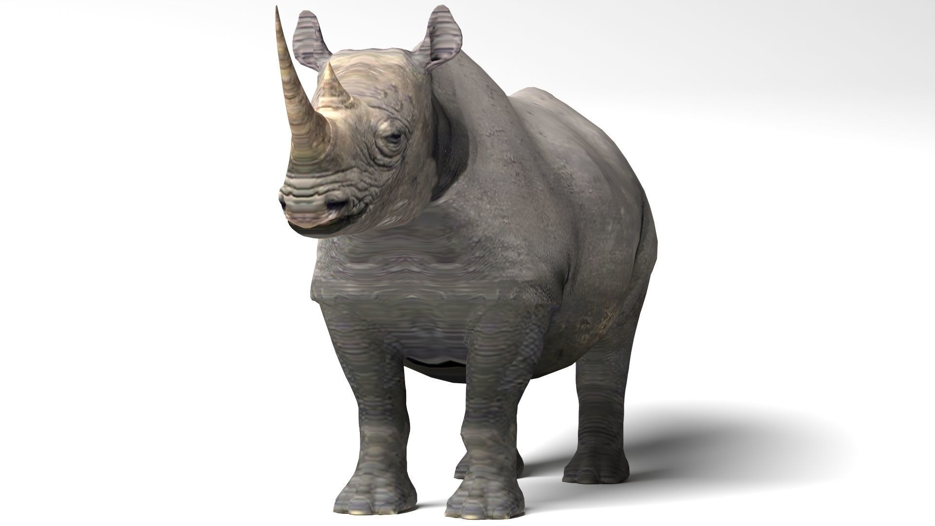 Rhino Low-poly 3D model_5