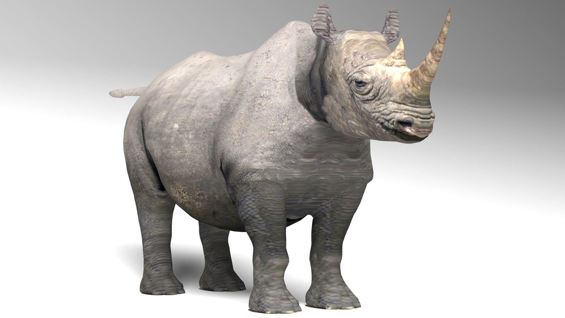Rhino Low-poly 3D model_3