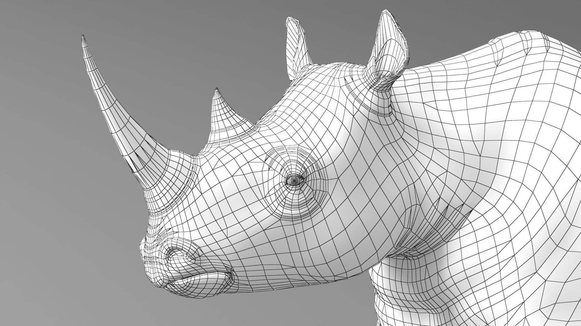 Rhino Low-poly 3D model_9