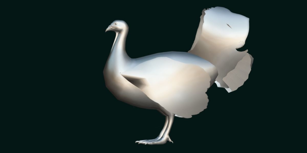 Australian brush turkey bird Low-poly 3D model_25