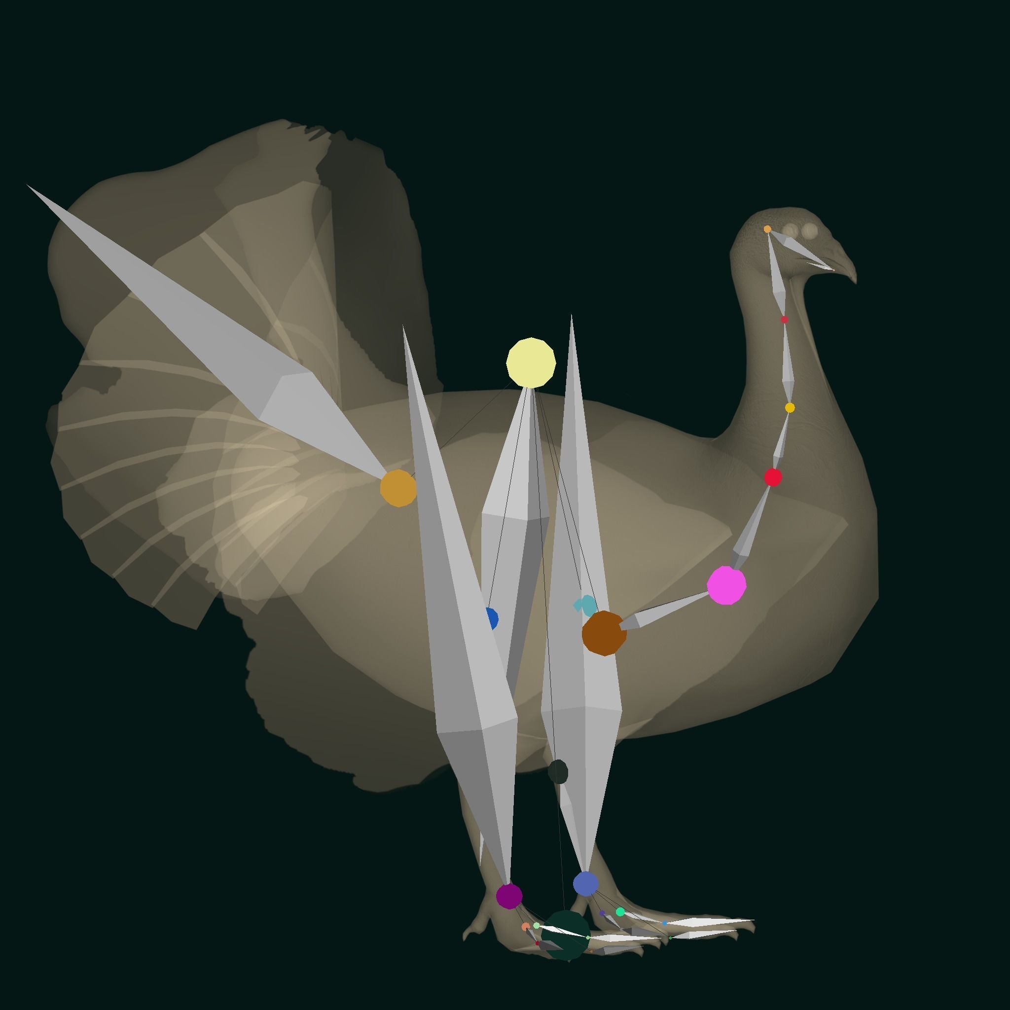 Australian brush turkey bird Low-poly 3D model_17