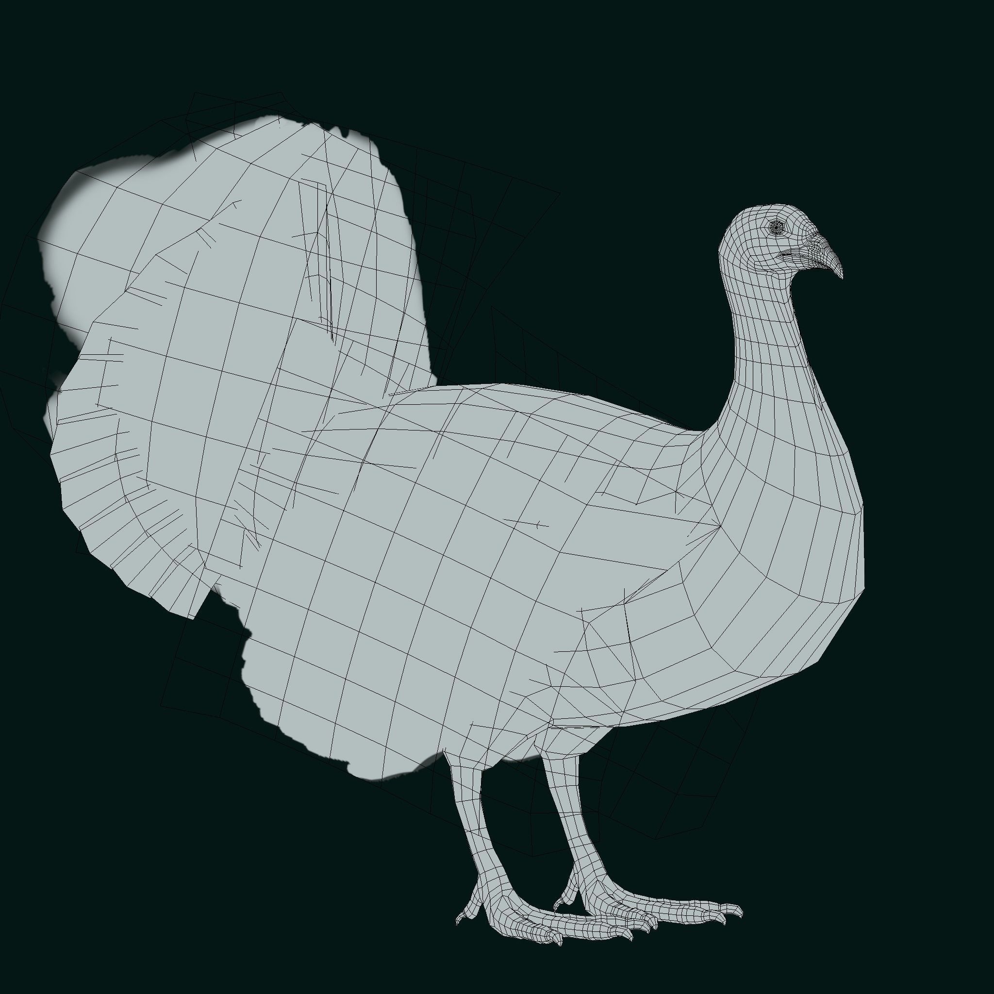 Australian brush turkey bird Low-poly 3D model_18