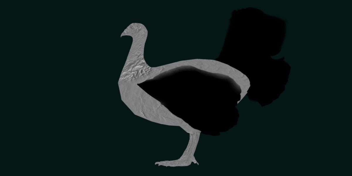 Australian brush turkey bird Low-poly 3D model_22