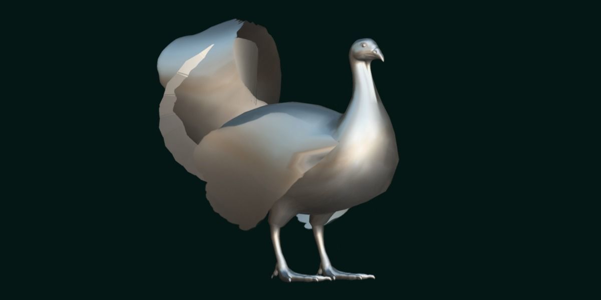 Australian brush turkey bird Low-poly 3D model_26