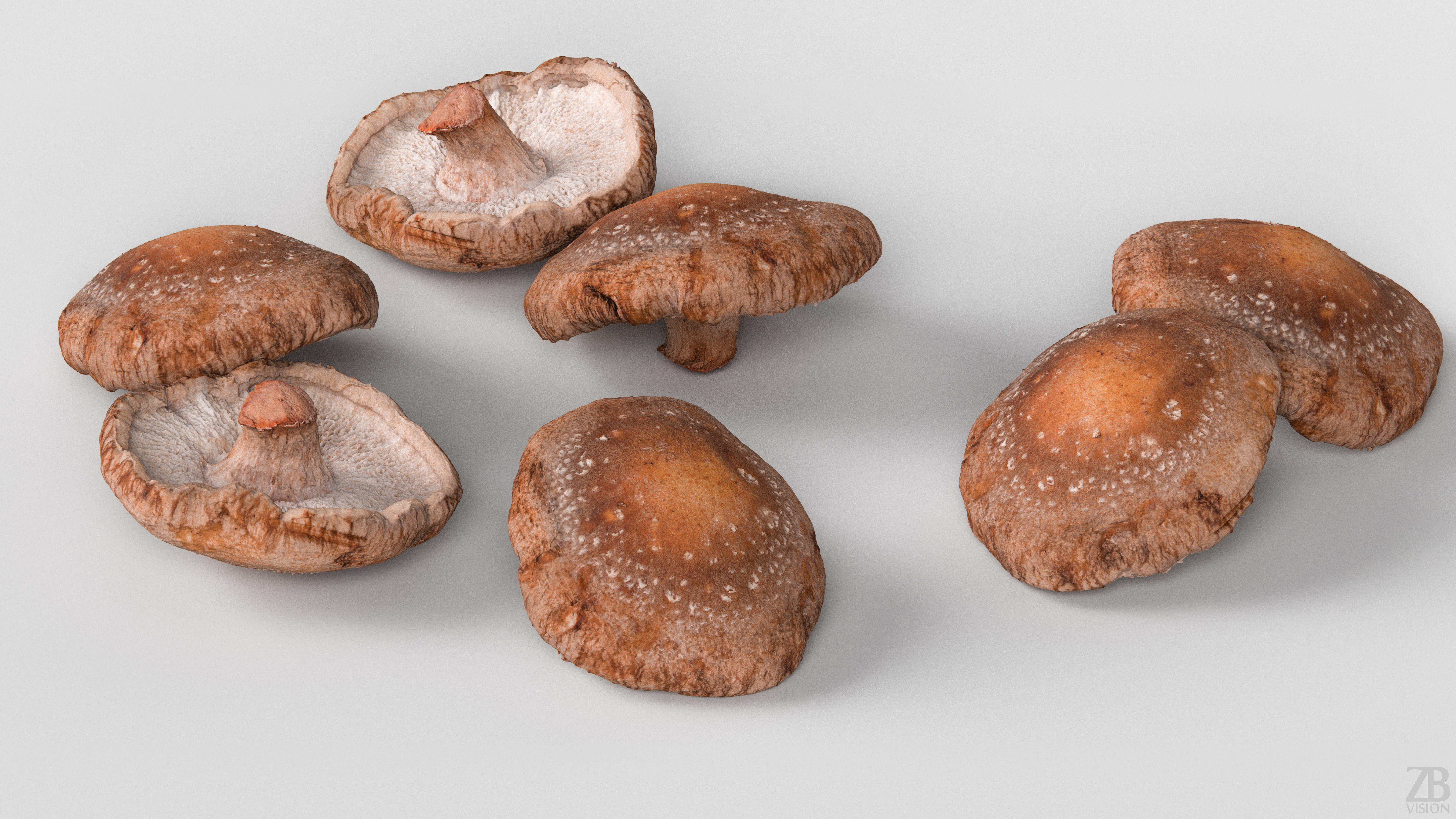 Mushroom 3D model_2