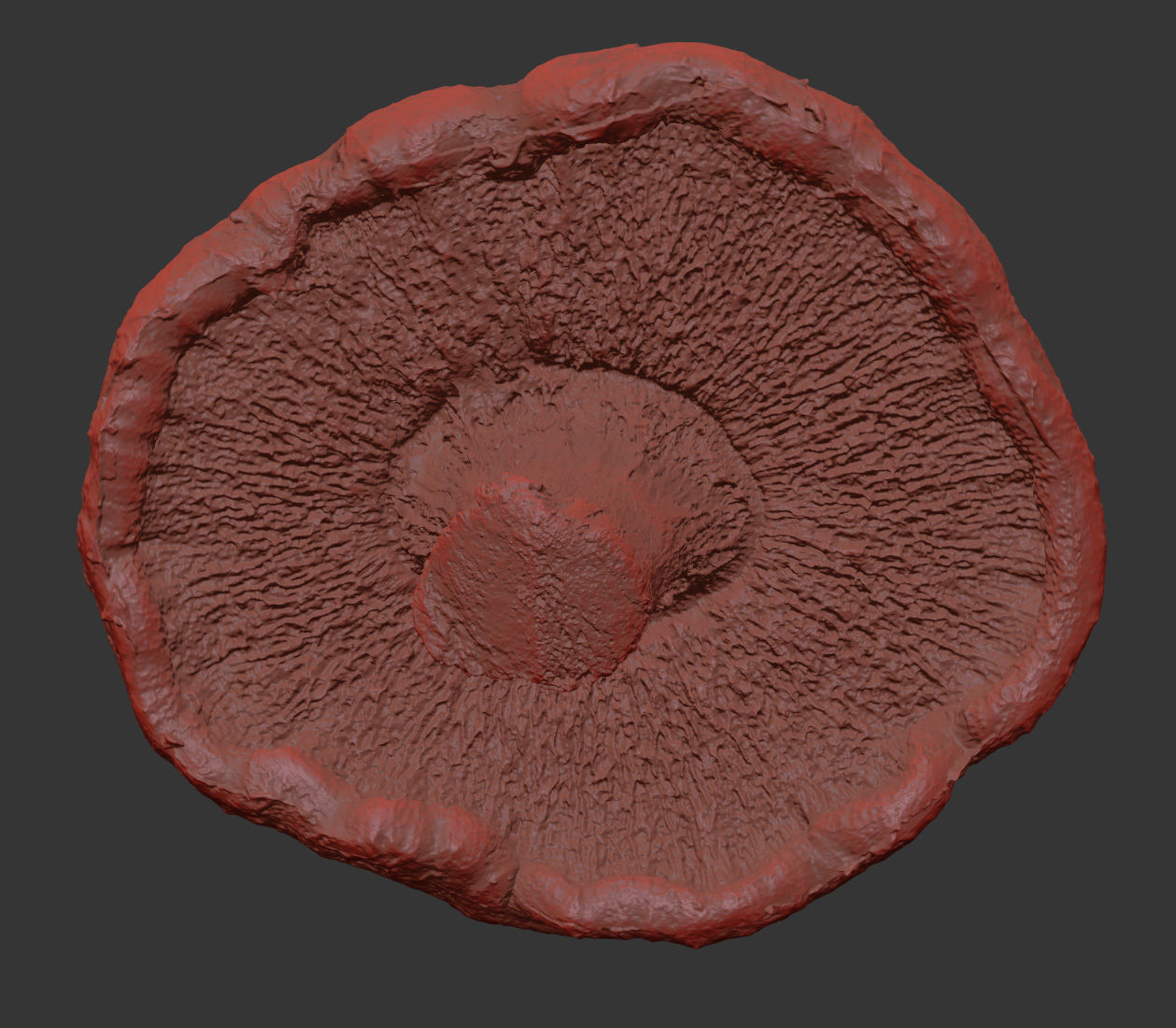 Mushroom 3D model_7