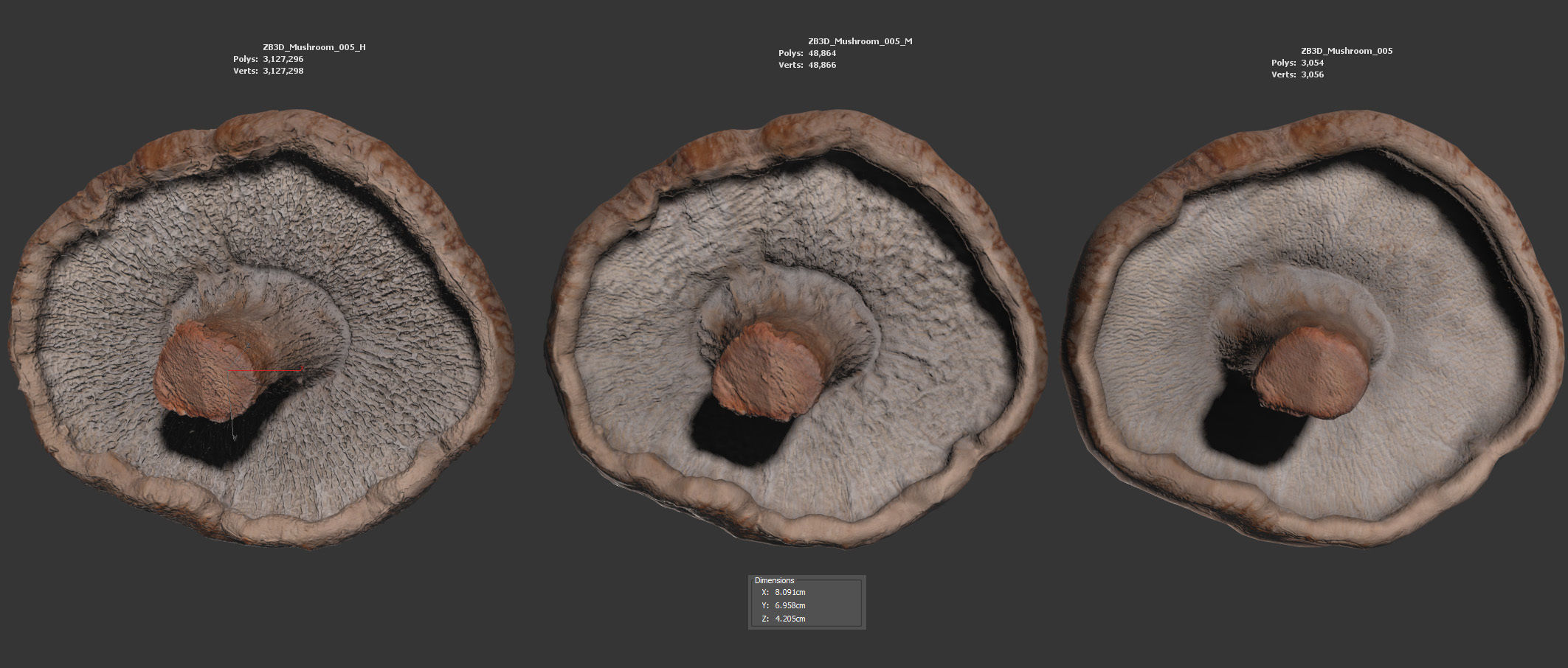 Mushroom 3D model_5