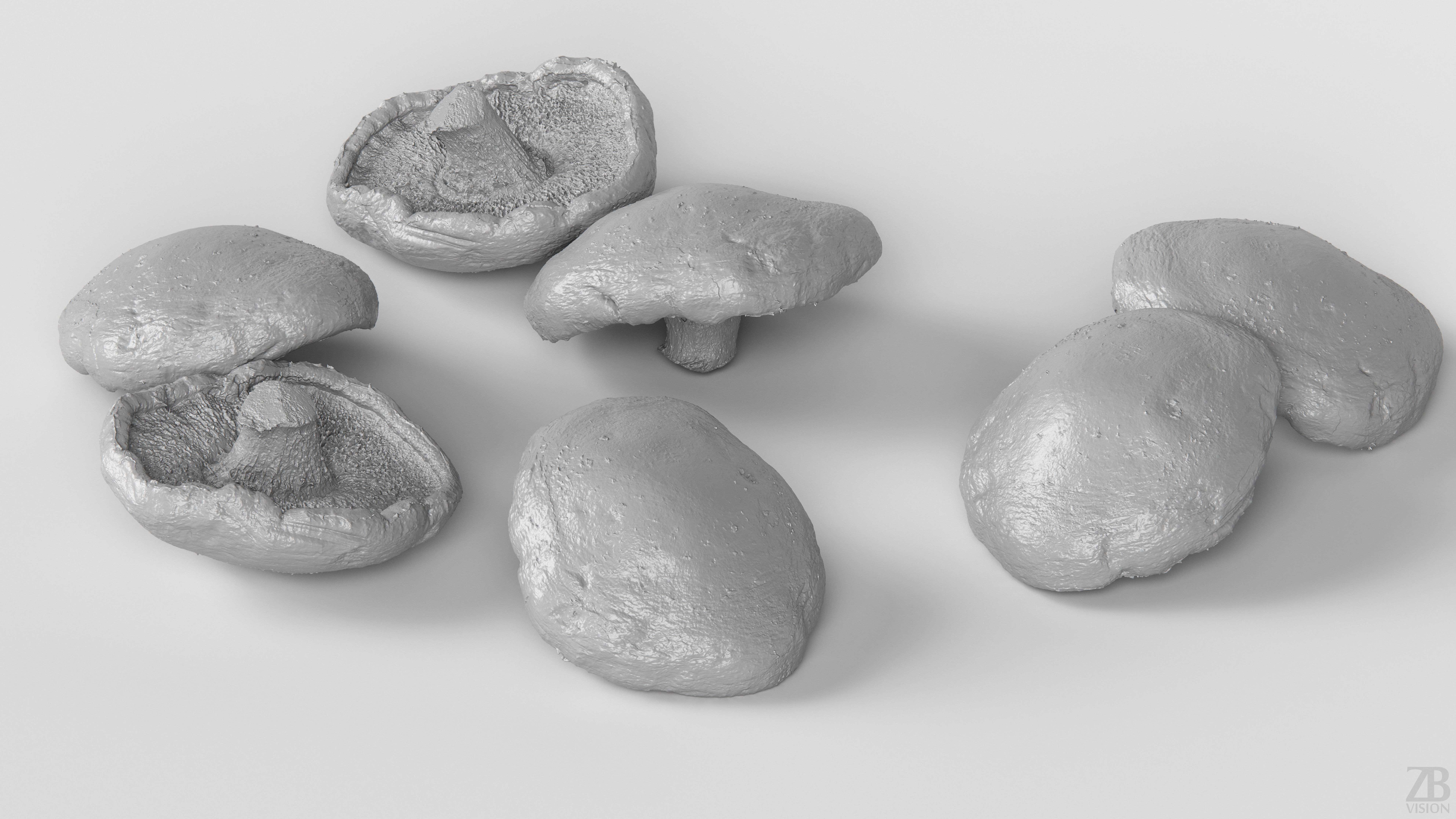 Mushroom 3D model_3