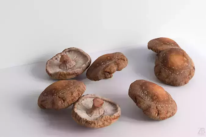 Mushroom 3D model