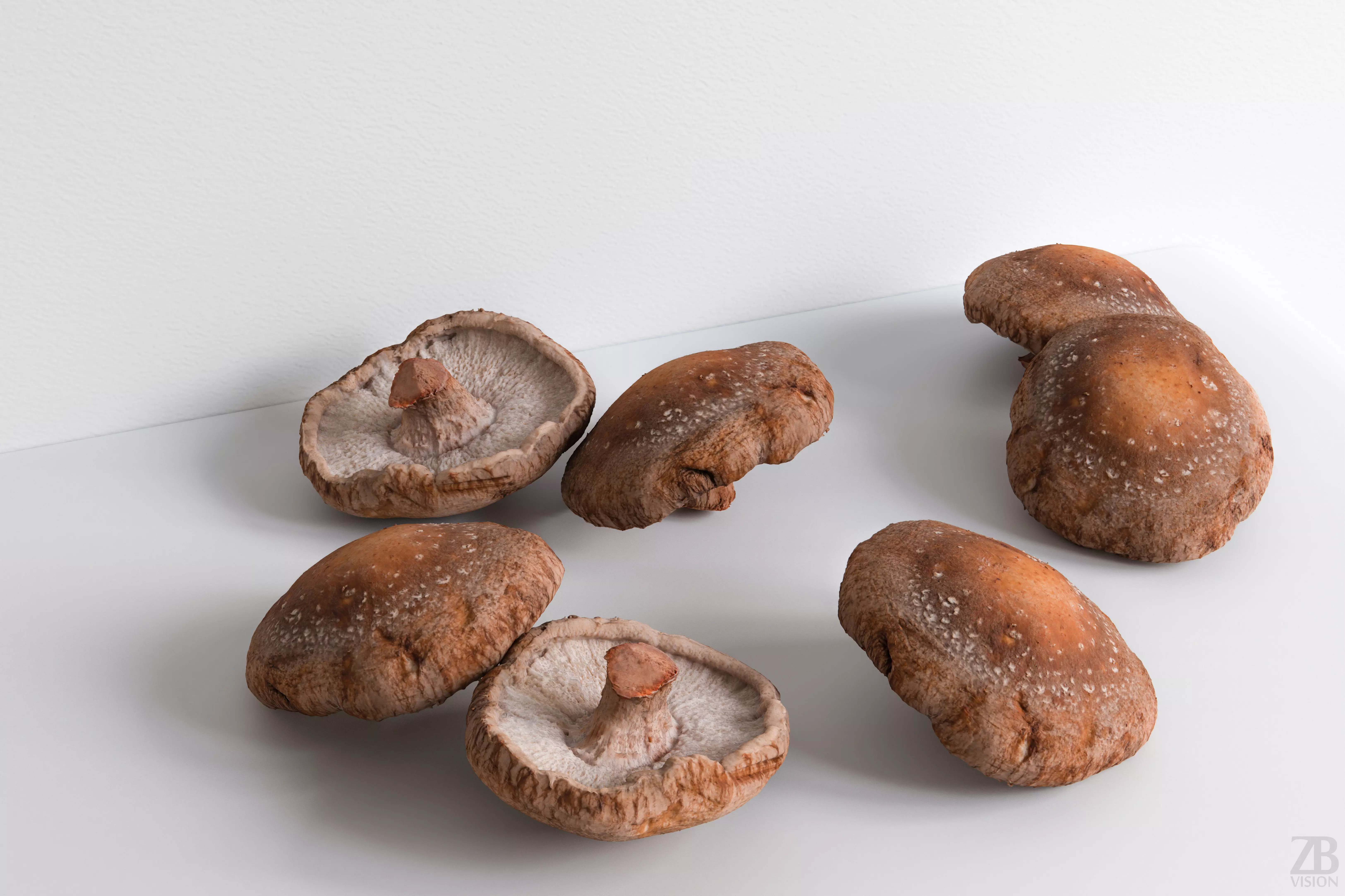 Mushroom 3D model_0