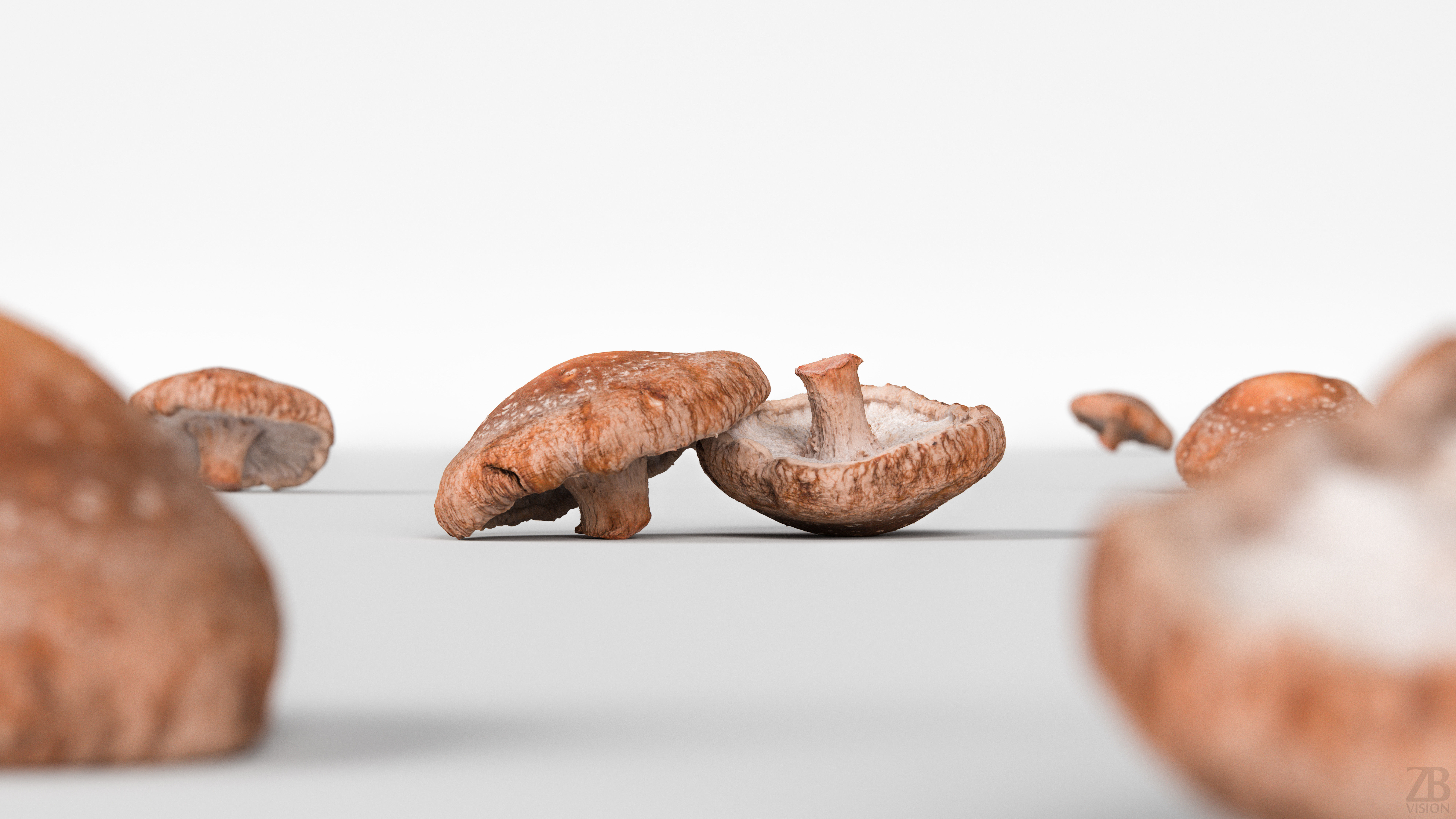 Mushroom 3D model_1