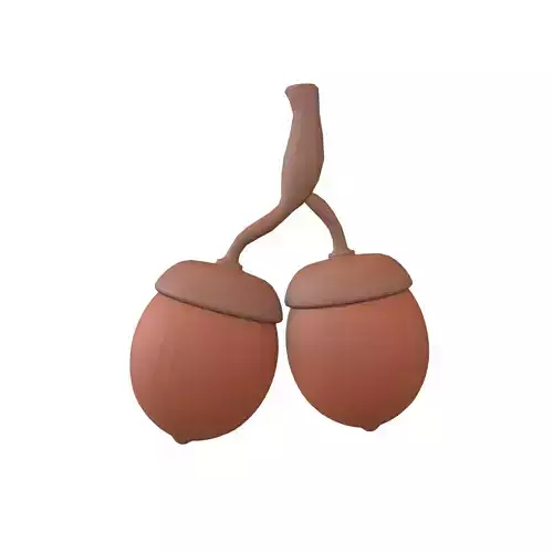 Acorn Fruit v1 002